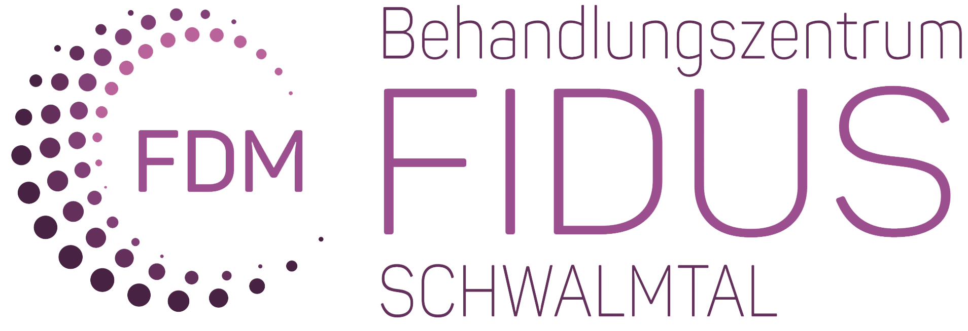 FDM Logo
